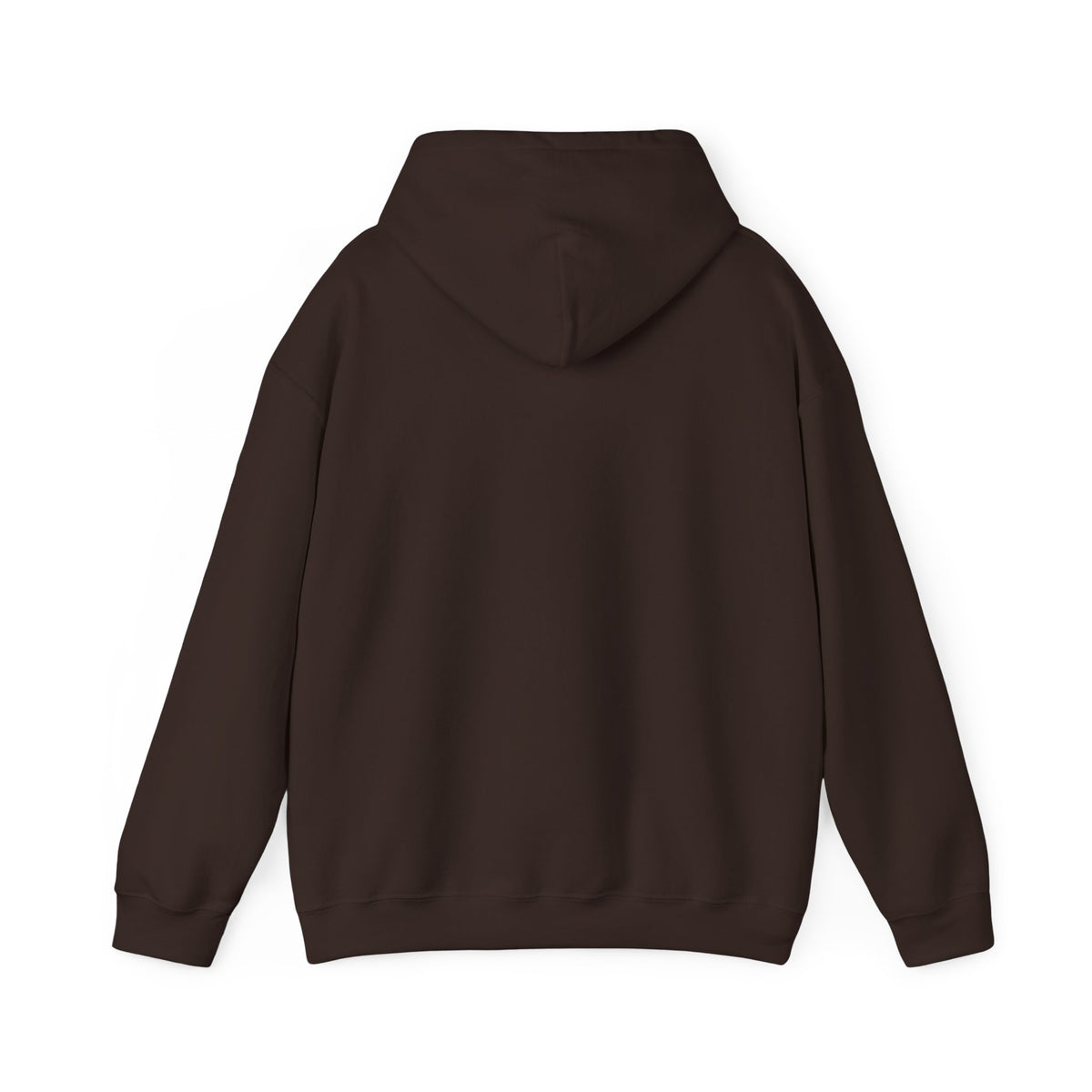 Back view of the brown CHIC PARISIENNE BY CHTQ pullover hoodie, showing the plain back design against a white background.