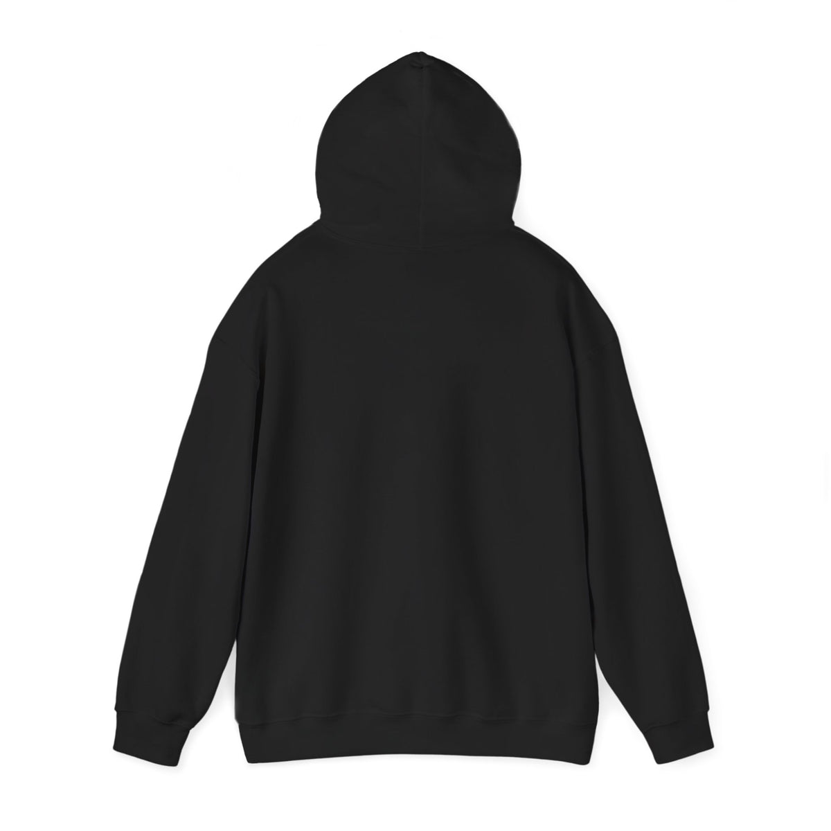 Back view of the black CHIC PARISIENNE BY CHTQ pullover hoodie, showing the plain back design against a white background.