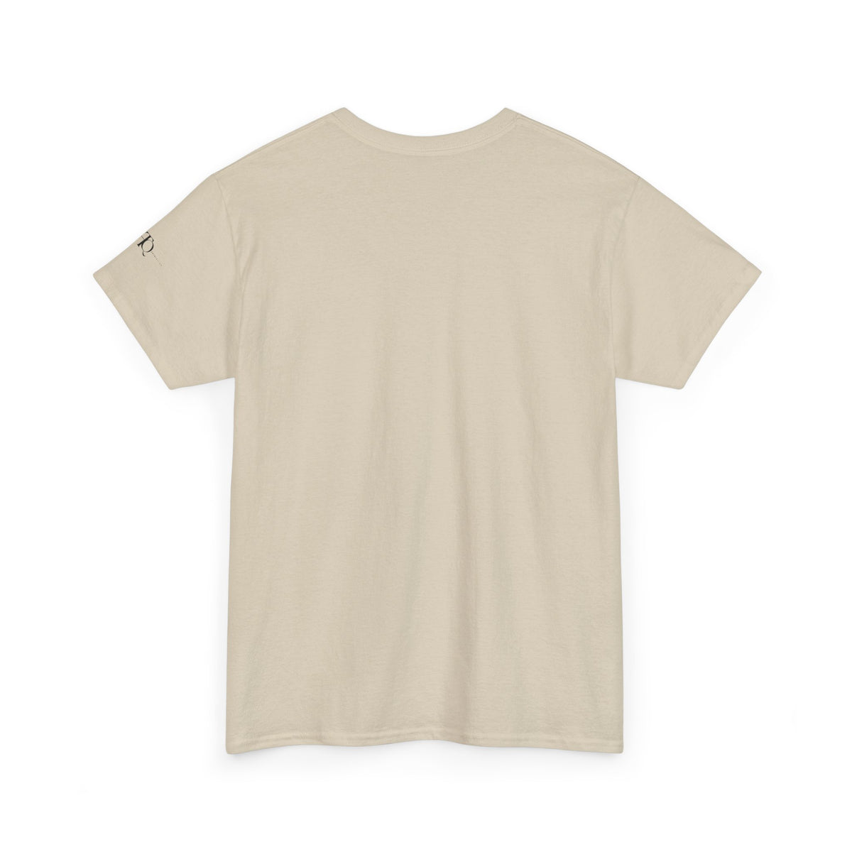 Back view of sand CHAOTIQUE graphic T-shirt showing the plain back and classic crewneck design.