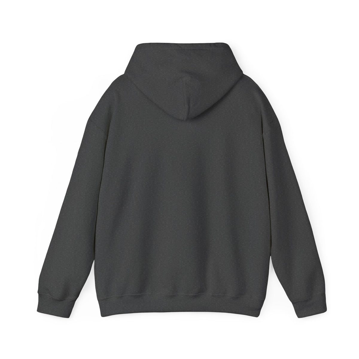 Back view of a dark charcoal gray pullover hoodie showing the plain back, hood and ribbed hem.