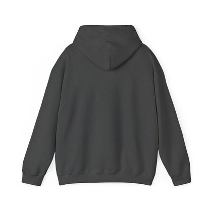 Back view of a dark charcoal gray pullover hoodie showing the plain back, hood and ribbed hem.