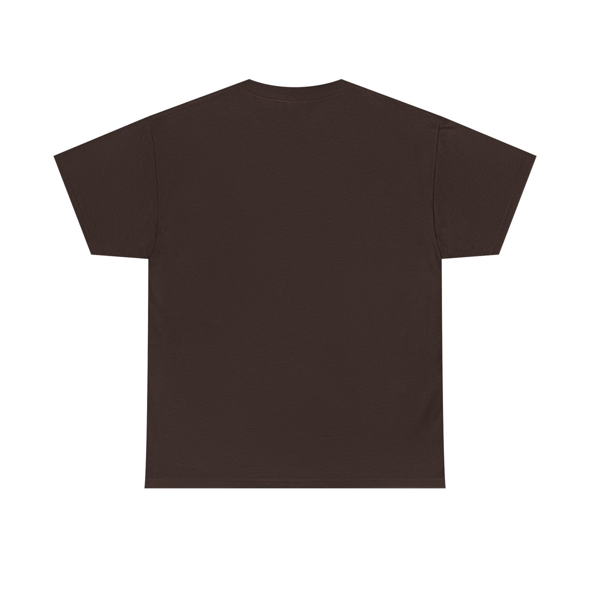 Back view of a brown CHTQ BY CHAOTIQUE graphic T-shirt with a plain, unprinted back, displayed against a clean white background.