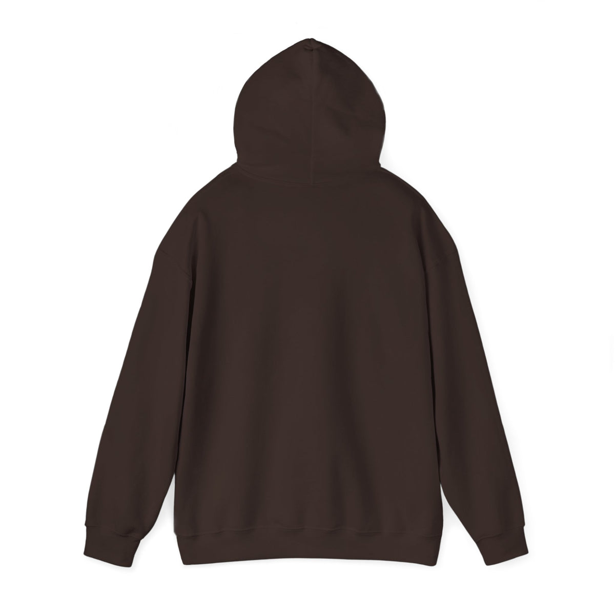 Back view of the brown CHIC PARISIENNE BY CHTQ pullover hoodie, showing the plain back design against a white background