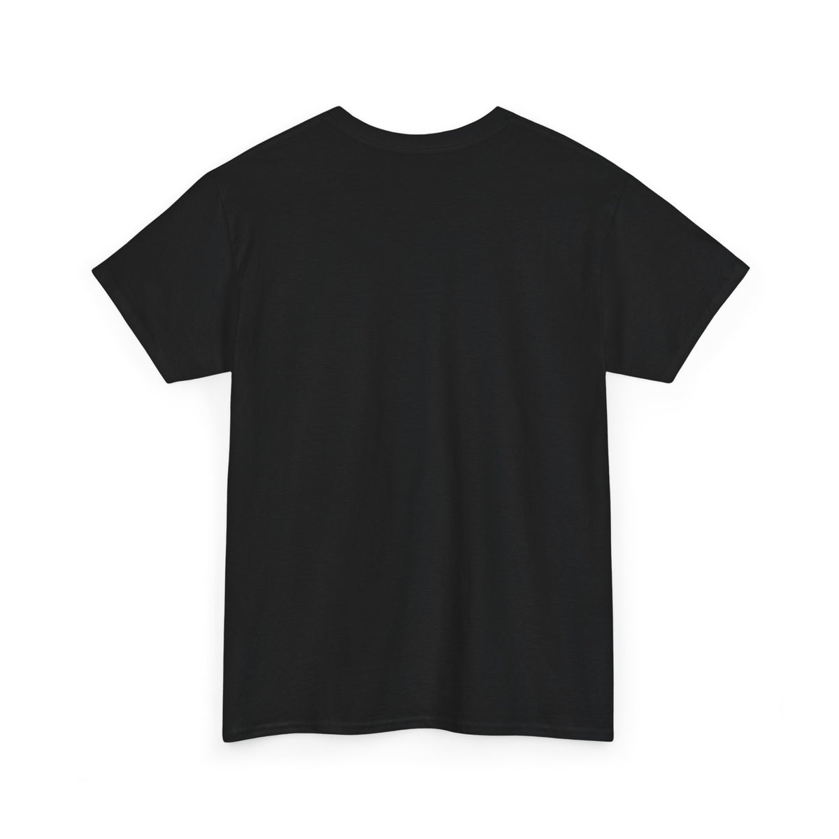 Roughly Chaotique Men’s Graphic Cotton T-Shirt