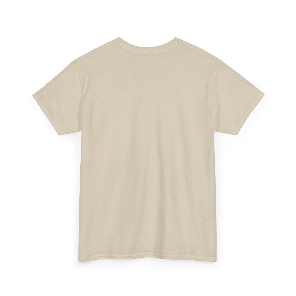 Roughly Chaotique Men’s Graphic Cotton T-Shirt