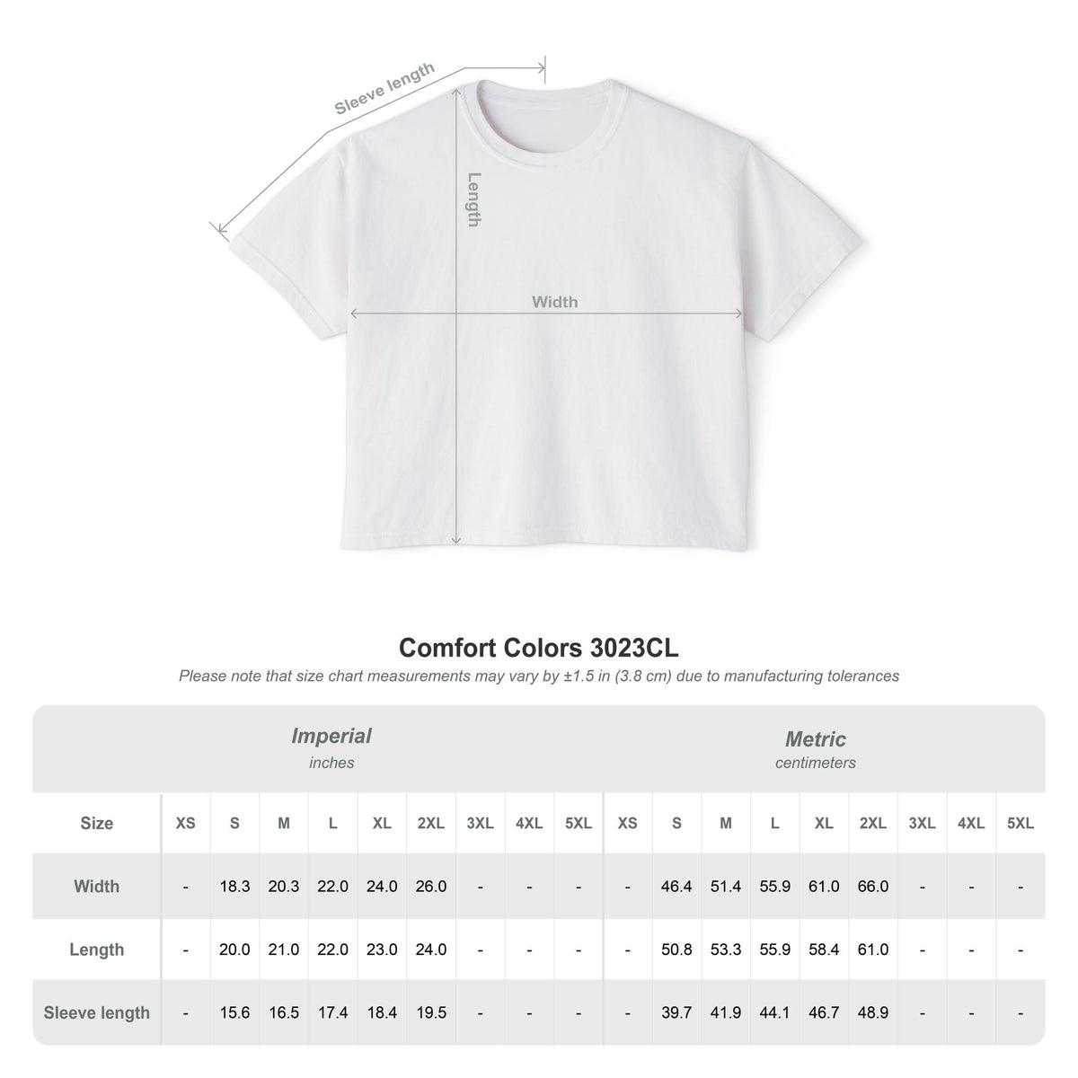 This Chic Needs Chaos Boxy T-Shirt