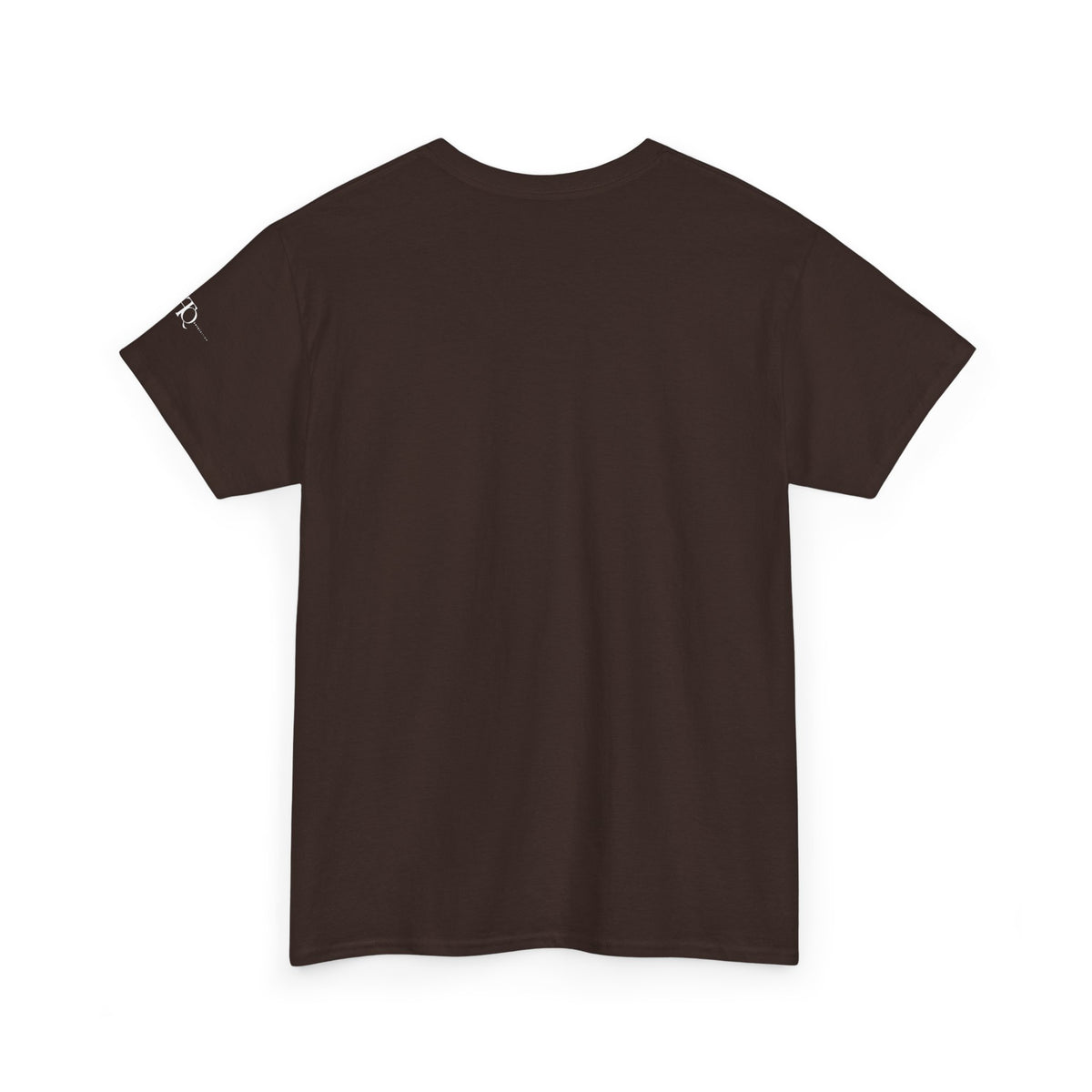 Back view of dark chocolate brown CHAOTIQUE graphic T-shirt showing the plain back and classic crewneck design.