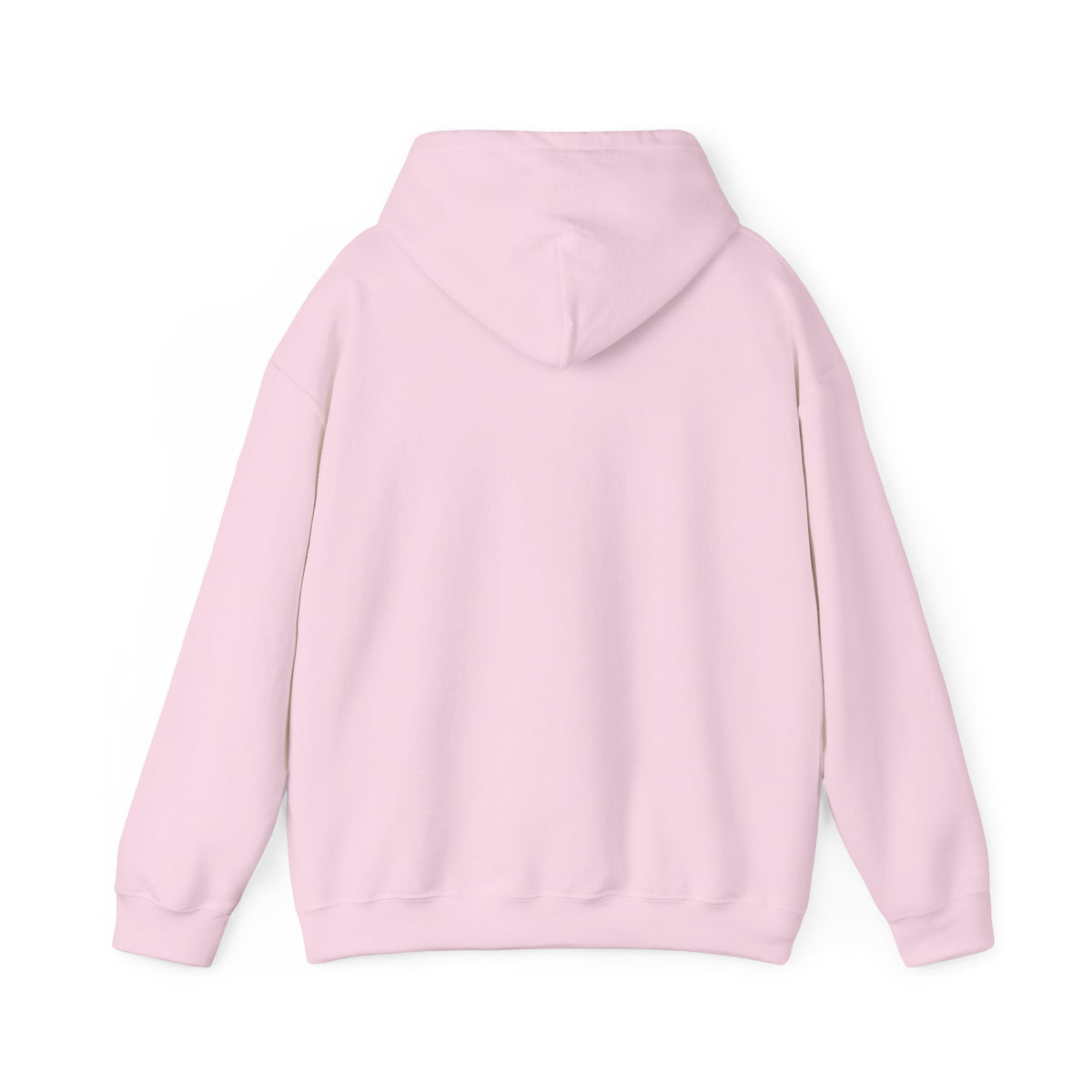 Back view of the light pink CHIC PARISIENNE BY CHTQ pullover hoodie, showing the plain back design against a white background.