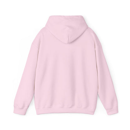 Back view of the light pink CHIC PARISIENNE BY CHTQ pullover hoodie, showing the plain back design against a white background.
